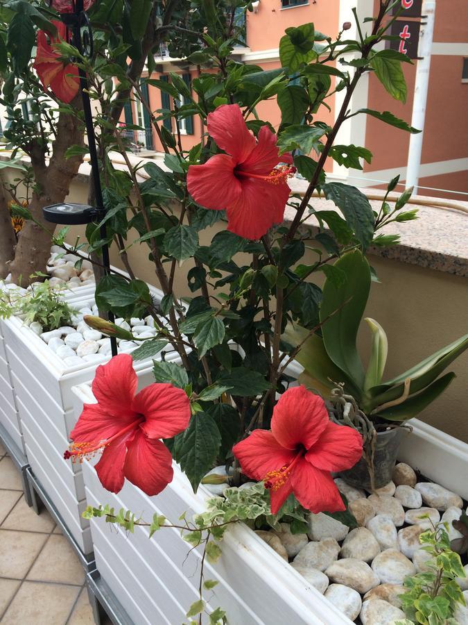 B&B Borgo Marina Bordighera Eksteriør bilde